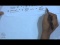 Applications of Laplace Transform to PDEs