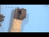 Point Estimation
