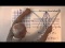 The Circle and Projective Homogeneous Coordinates