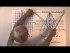 The Circle and Projective Homogeneous Coordinates