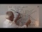 Visualizing Quadrance with Circles