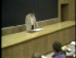 The Kepler Problem