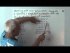 Row and column polynumbers