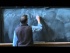 Expectations, Momentum, and Uncertainty