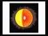 Our Sun I