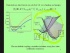 Born-Oppenheimer Approximation