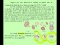 Linear Combinations of Atomic Orbitals