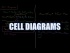 Cell Diagrams