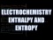 Electrochemical Enthalpy and Entropy