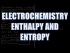 Electrochemical Enthalpy and Entropy
