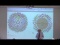 Sensory Systems