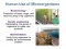 Chapter 1: The Main Themes of Microbiology (1/3)