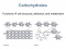 Chapter 2: The Chemistry of Biology (2/2)