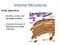 Chapter 5: A Survey of Eukaryotic Cells and Microorganisms (1/3)