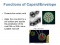Chapter 6: An Introduction to Viruses (1/2)