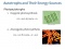 Chapter 7: Nutrition, Ecology, and Growth (1/4)