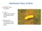 Chapter 9: Microbial Genetics (1/5)