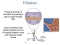 Chapter 11: Agents for Microbial Control (3/3)