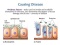 Chapter 13: Microbe-Human Interaction (2/4)