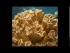 Non Euclidean Geometry & Hyperbolic Social Networks
