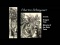 Martin Schongauer