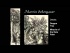 Martin Schongauer