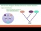 Comparing DNA sequences reveals evolutionary history