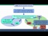 Overview of Module 7