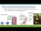Aneuploidy