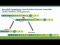 Chromosomes rearrangements