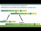 Consequences of chromosome rearrangements