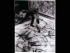 Pollock's abstract expressionist paintings