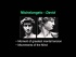 Michelangelo 1 (High Renaissance)