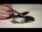 Elements of Art: Value (charcoal)