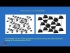 Crystal Structure 4