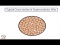 Superconductivity 2