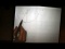 Derivation of Kepler's Laws from Newton's Laws