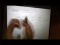 Atomic Structure