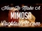 How to Make a Mimosa