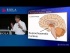 Consciousness Part 1: Variations and Rhythms