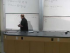 Dark Energy and Gauss's Law