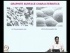 Electrothermal Atomic Absorption Spectrometry: Electrothermal Aspects