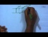 One-dimensional waves (Contd.)