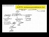 Step 1 Tutorial: The Arachidonic Acid Pathway