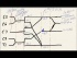 Step 1 USMLE - The Brachial Plexus