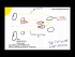 USMLE Tutorial - The Pupillary Light Reflex