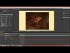 Transform Hotkey Overview