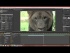 Slip Editing