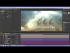 CC Light Rays