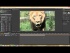 How to Reverse Your Footage